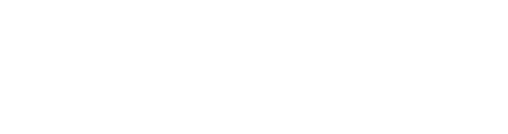 Auto Vendido